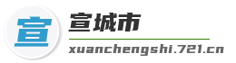 宣城市麦克技术